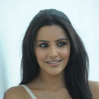 PRIYA ANAND CUTE PHOTOS AT 180 SUCCESS MEET | Picture 43474